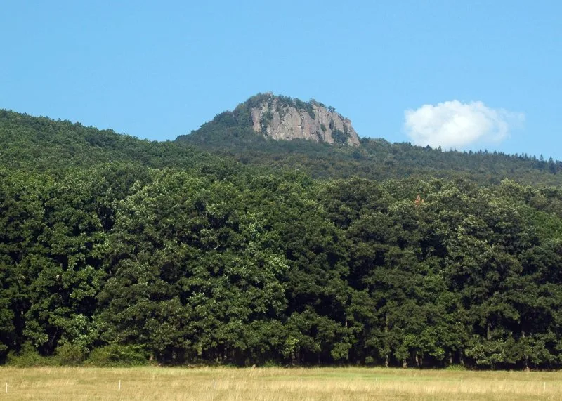 Žarnov