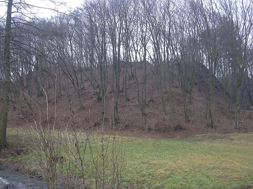 Dědice Castle