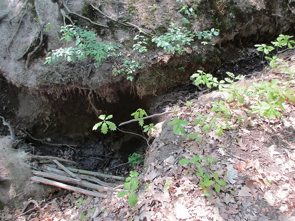 Waterfalls in Modřanská rokle