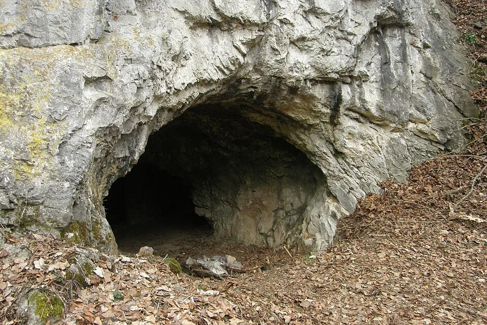 Jestřábka