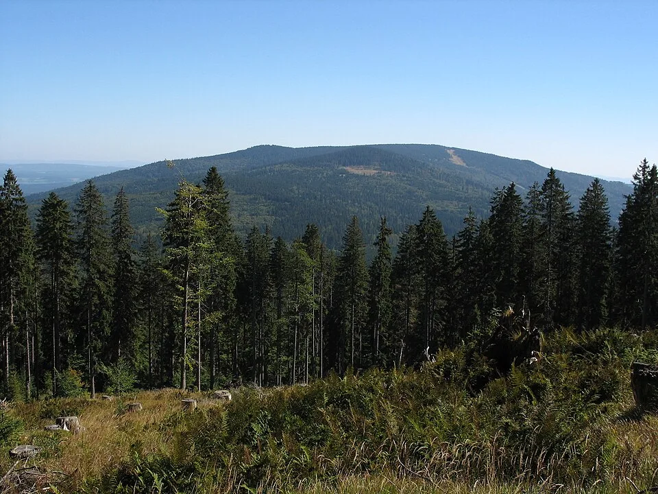 Hochficht