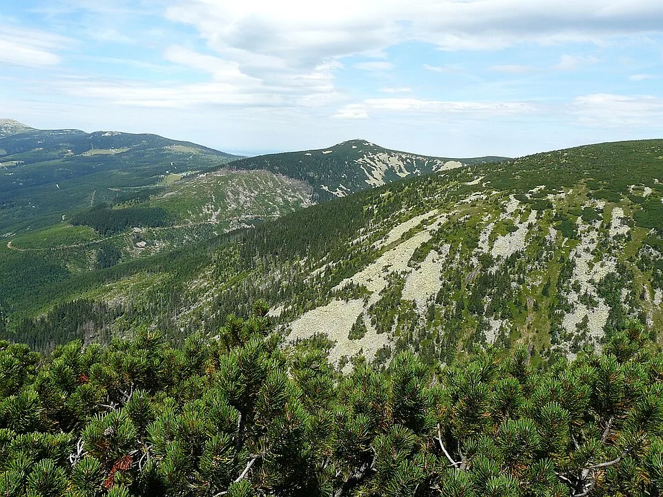 Mały Szyszak
