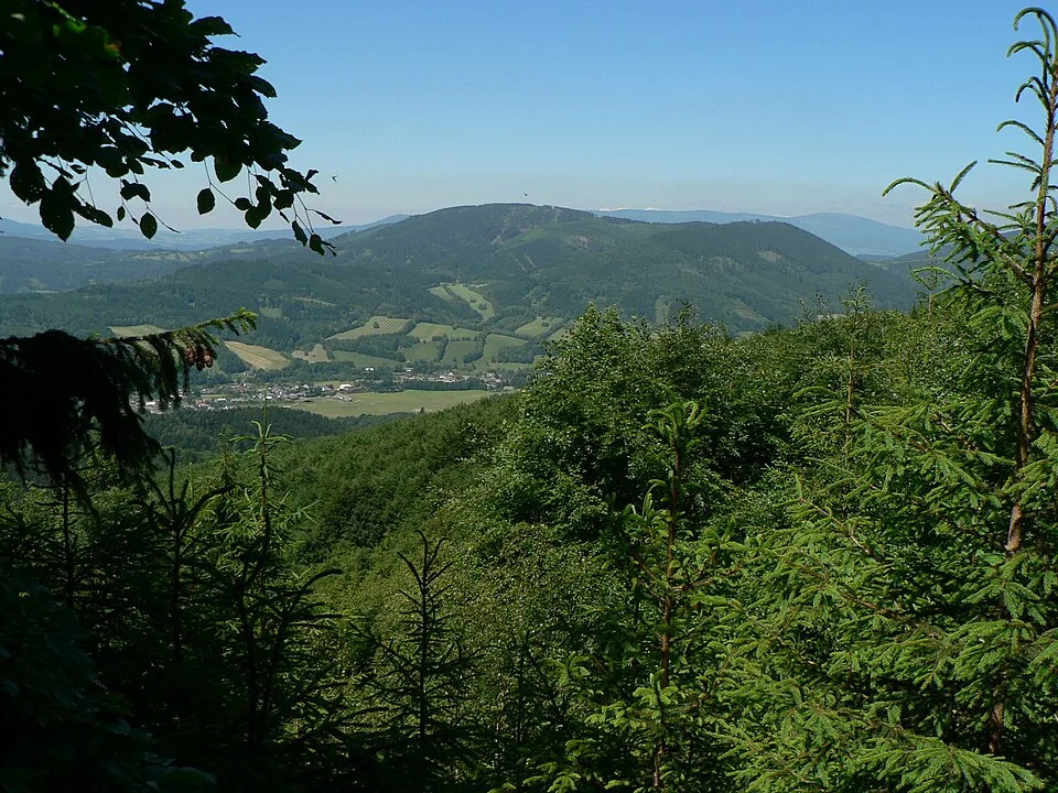 Ucháč