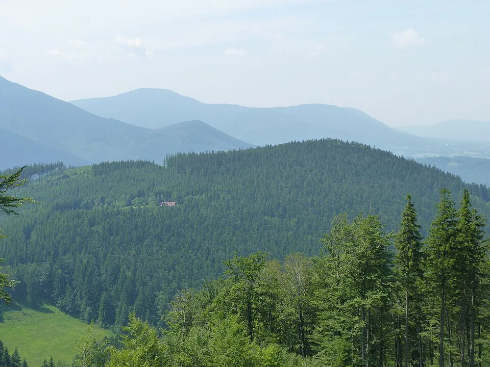 Smrčina