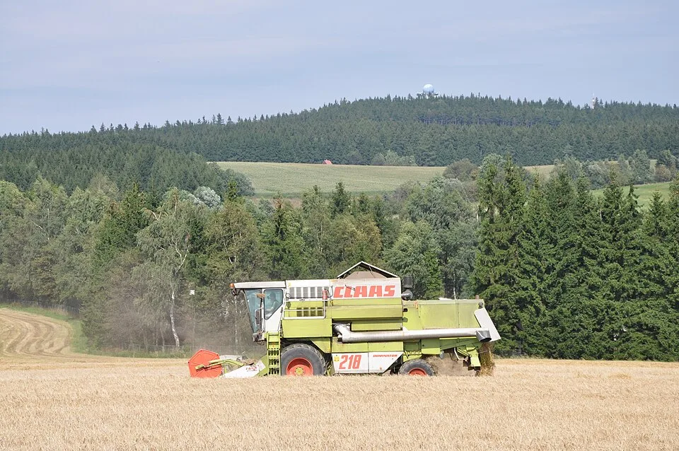 Buchtův Kopec
