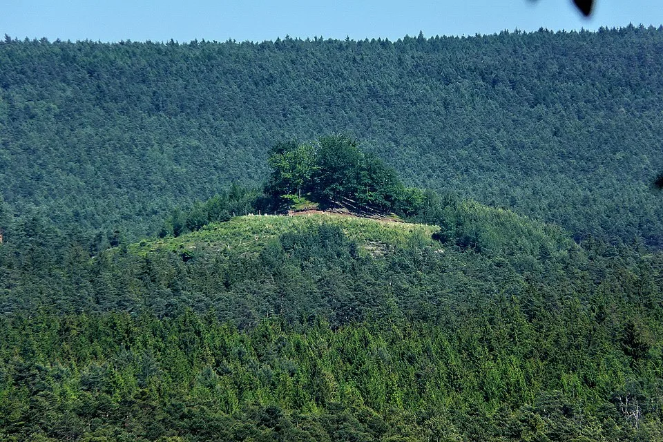 Dubová hora