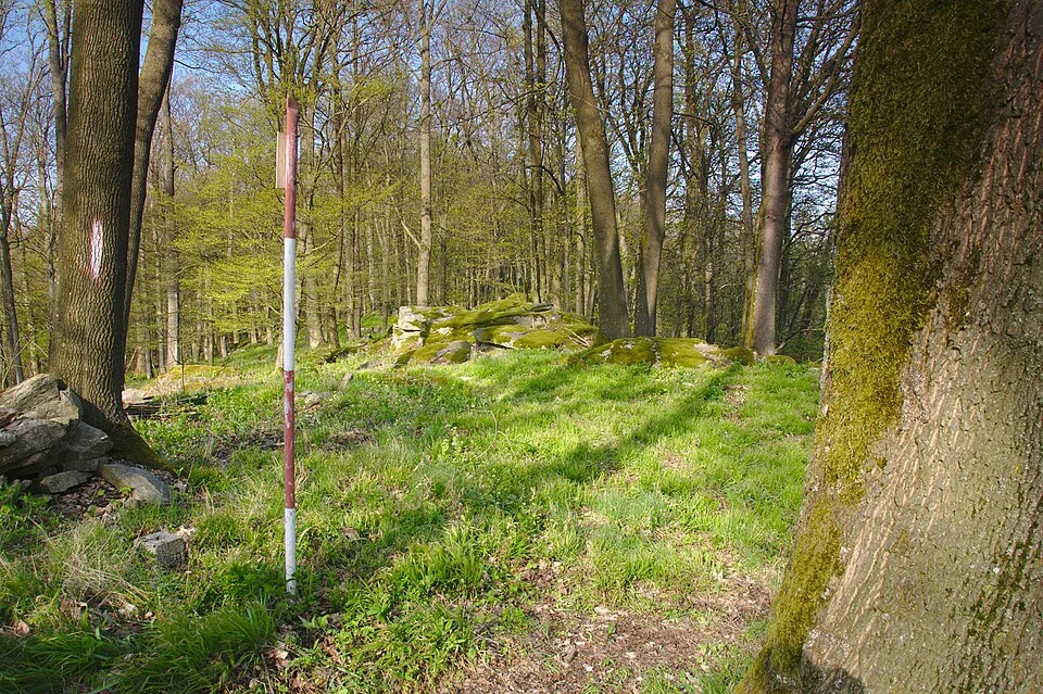 Páleniny