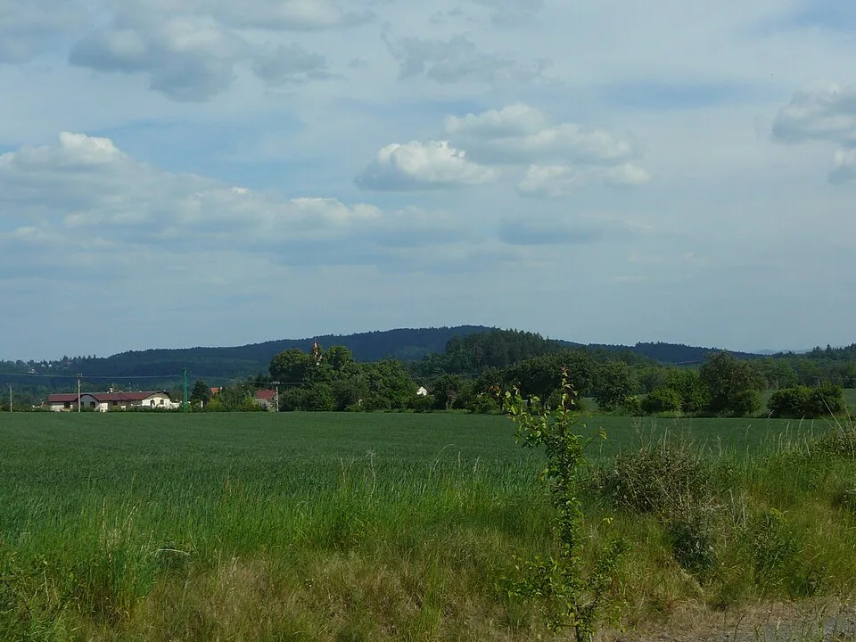 Vlková