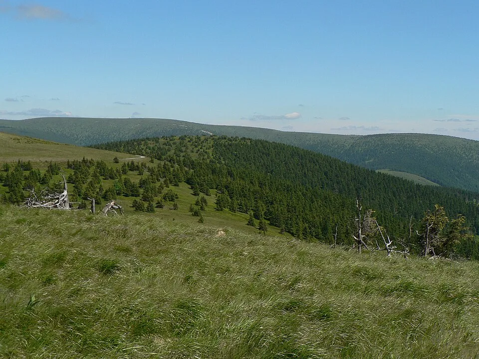 Vřesník