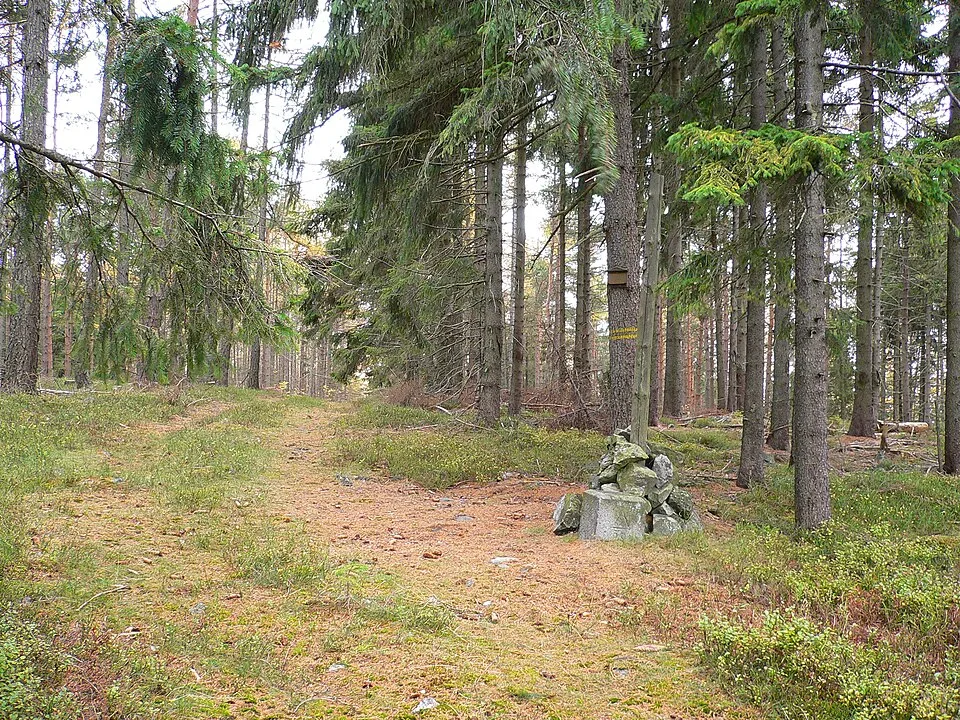 Peterák