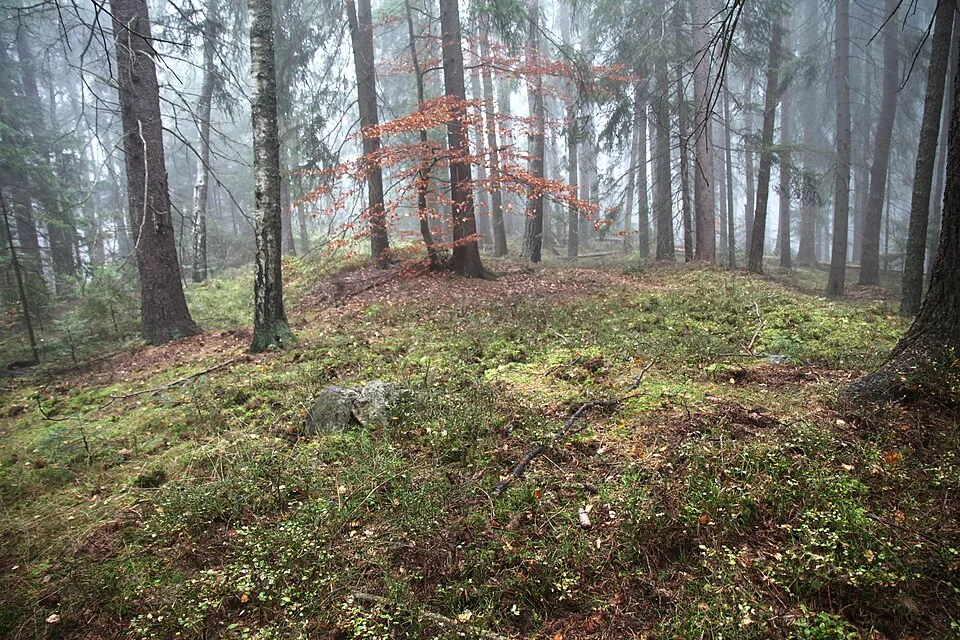 Volovický vrch