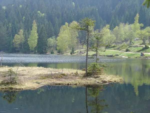 Prášilské jezero
