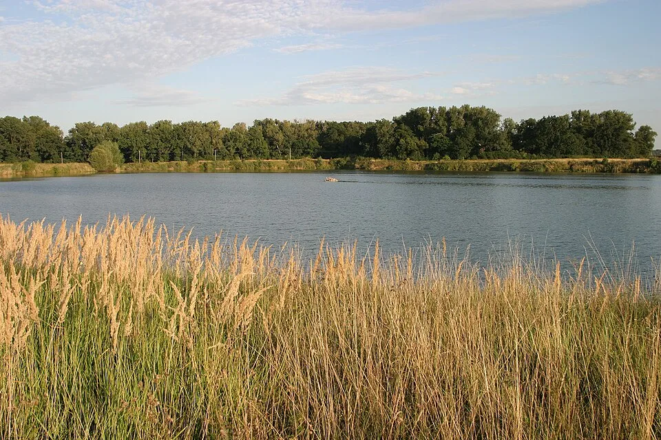 Cucovna