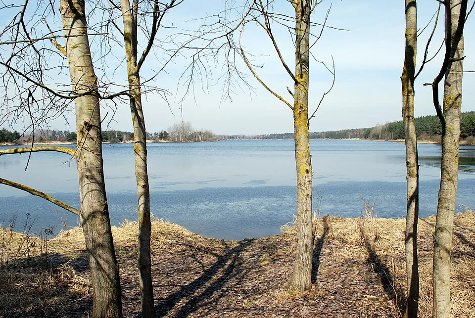 Vlkovská pískovna