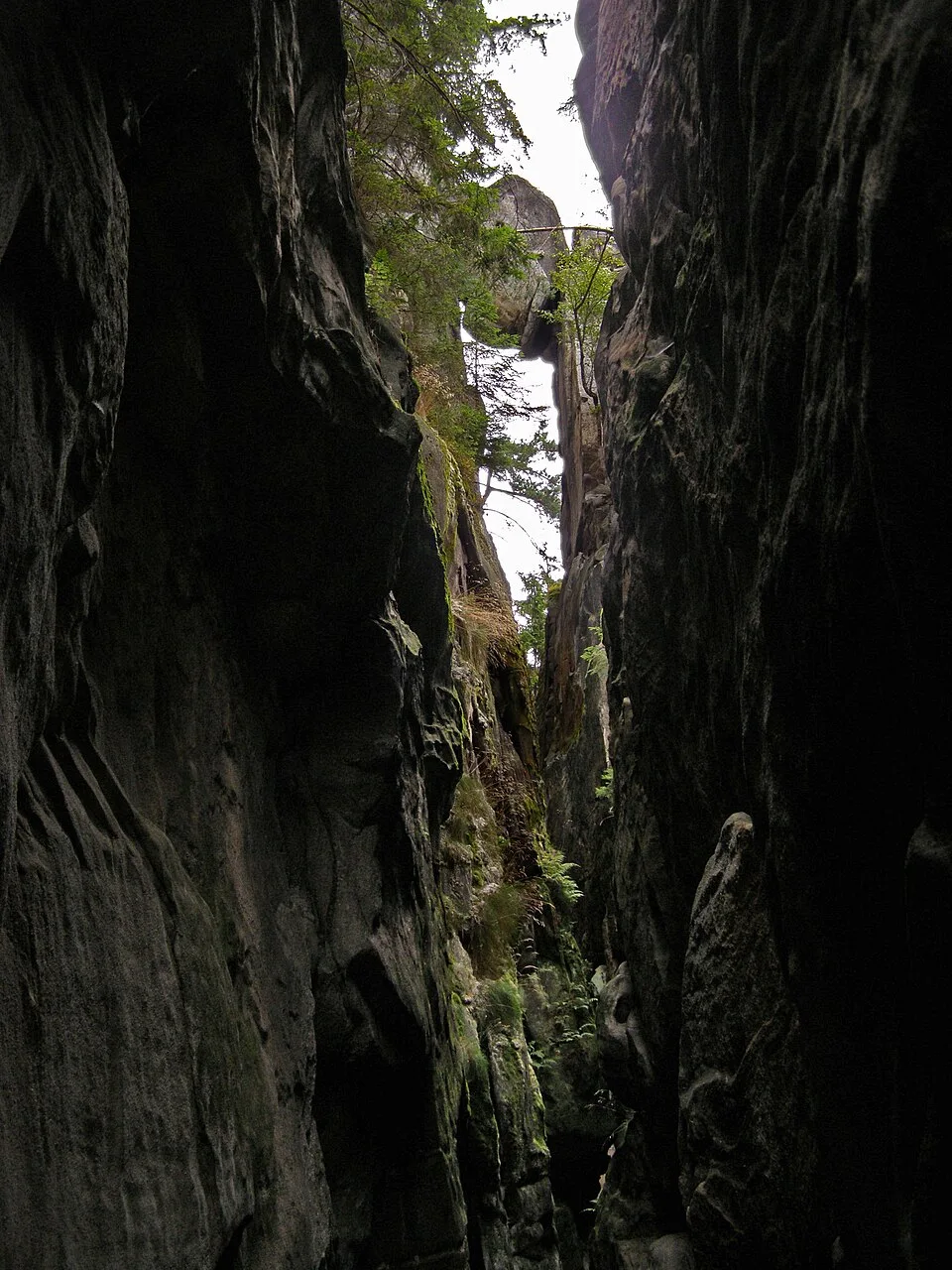 Sluj Českých bratří