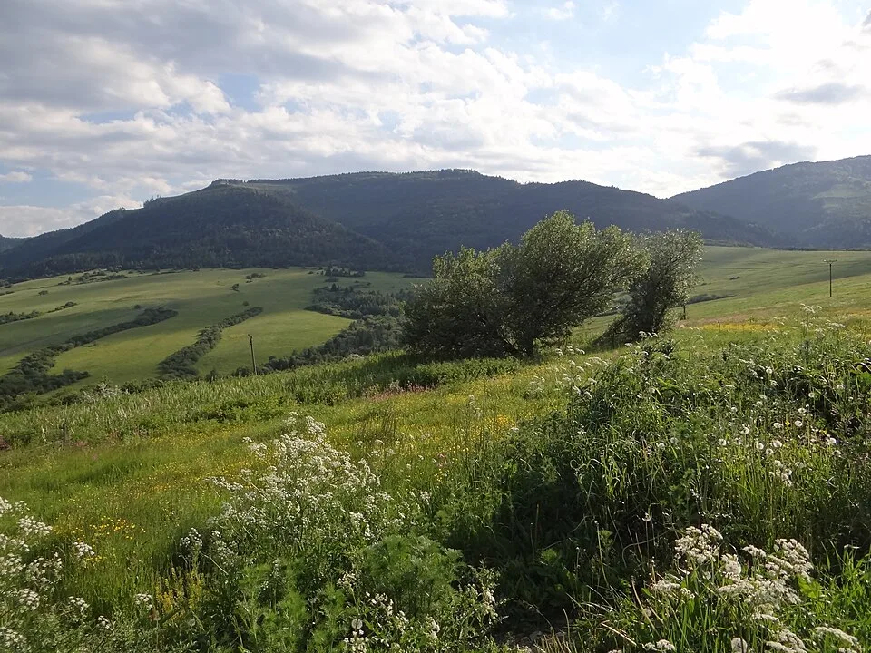 Čierna hora