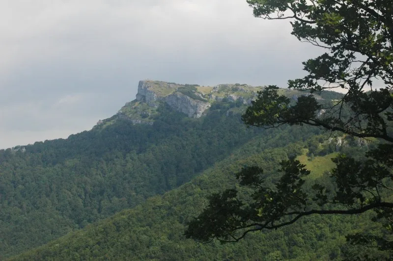 Kľak