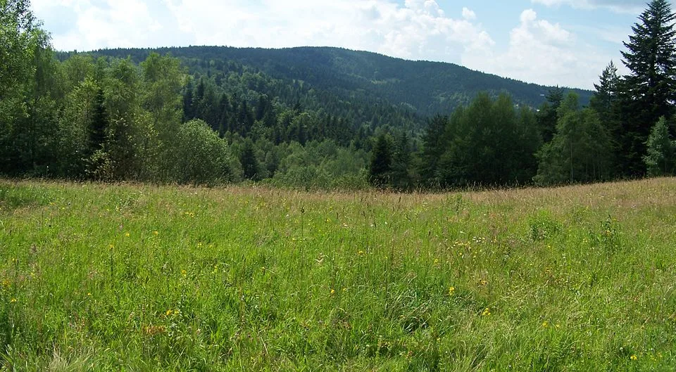 Eliášovka
