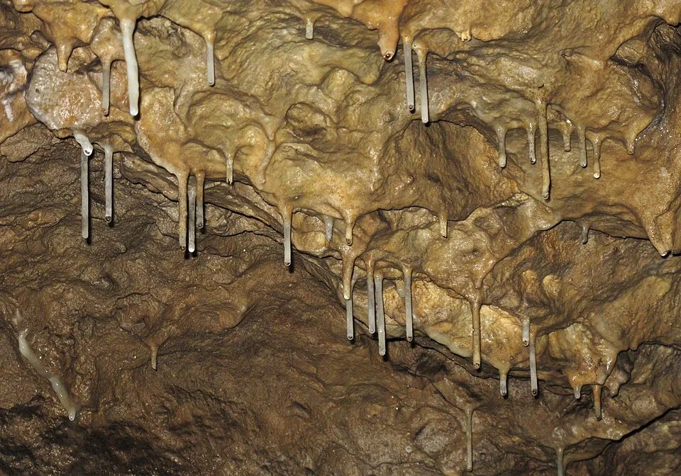 Brestovská jaskyňa (national natural monument)