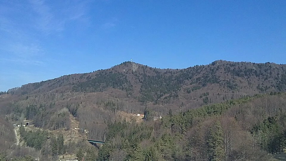 Bralová skala