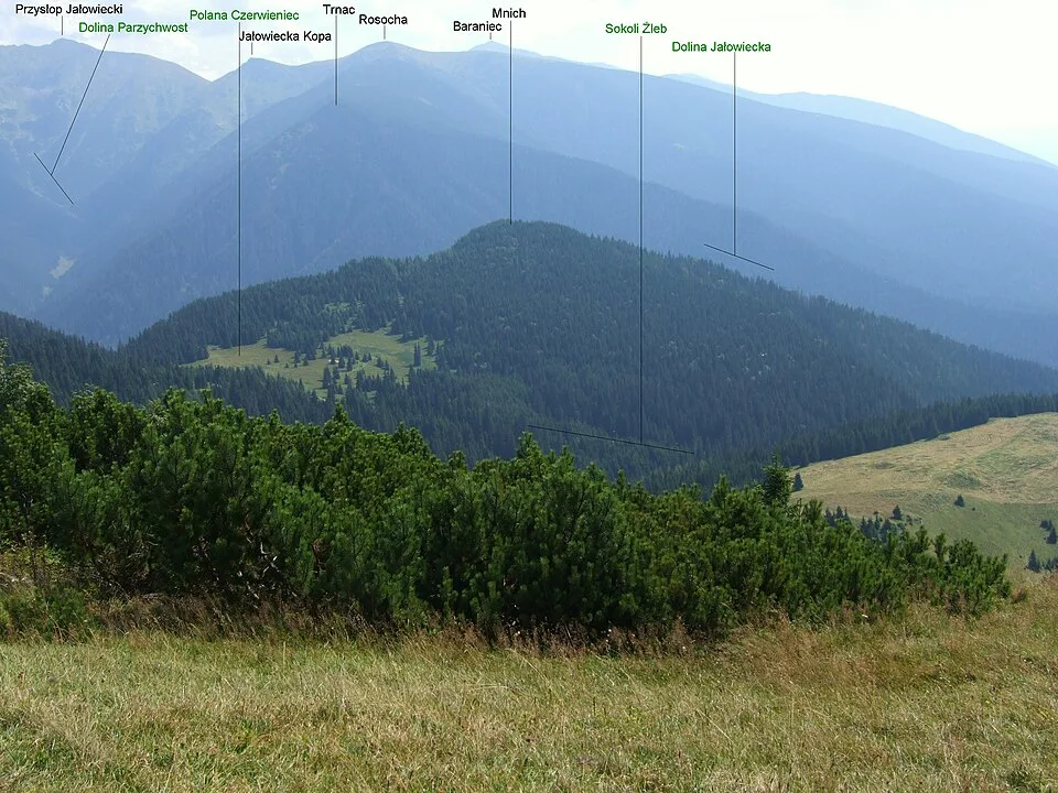 Jałowiecki Mnich