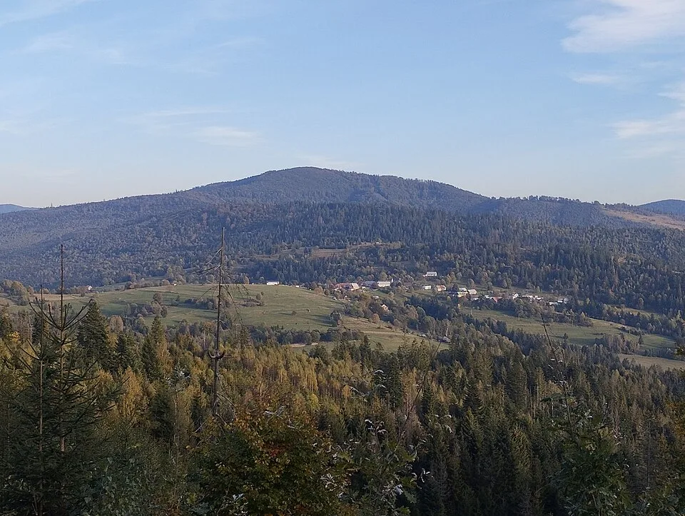 Kikula