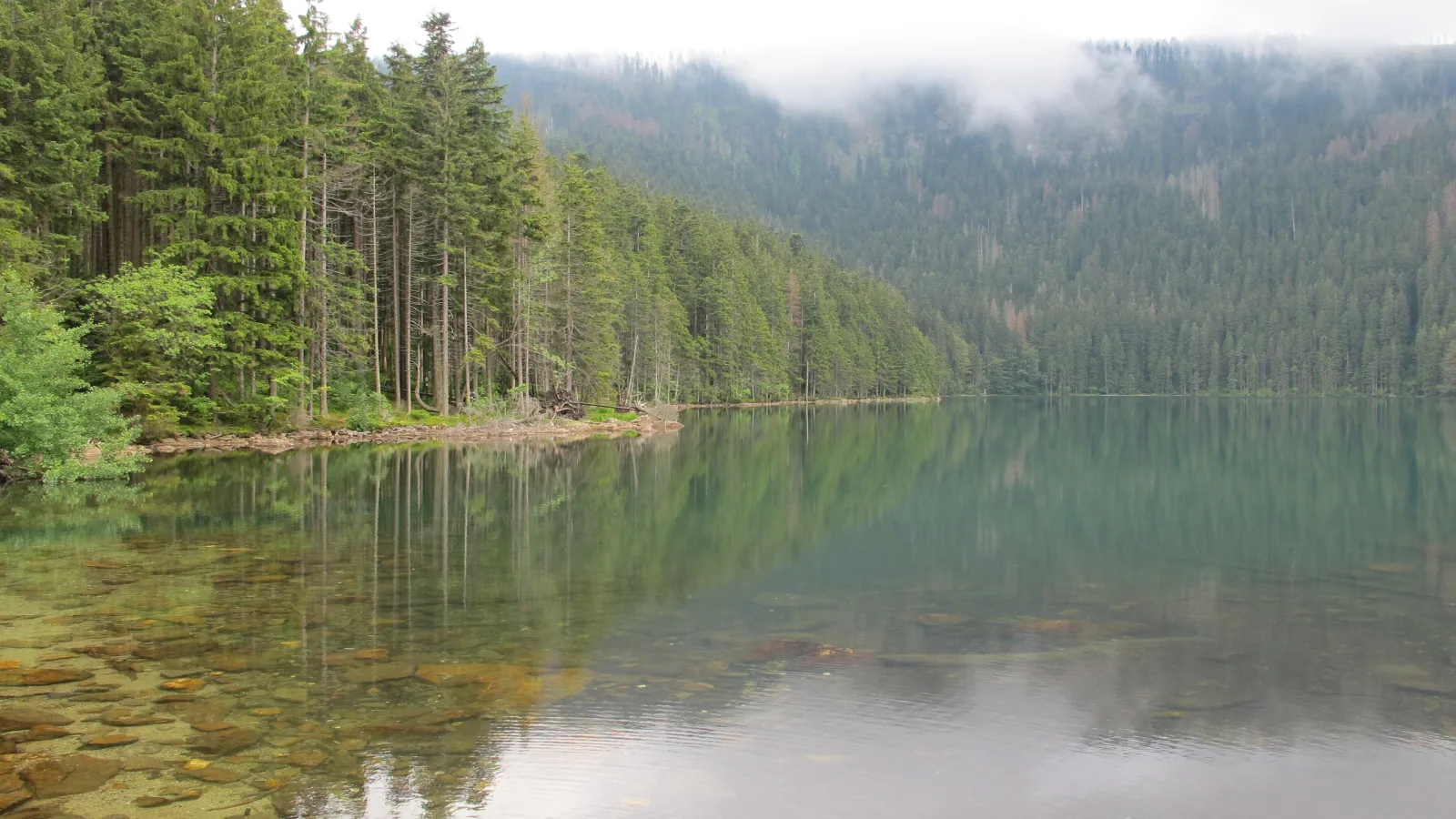 Šumava: Čierne jazero, Boubínsky prales a divoká Vydra