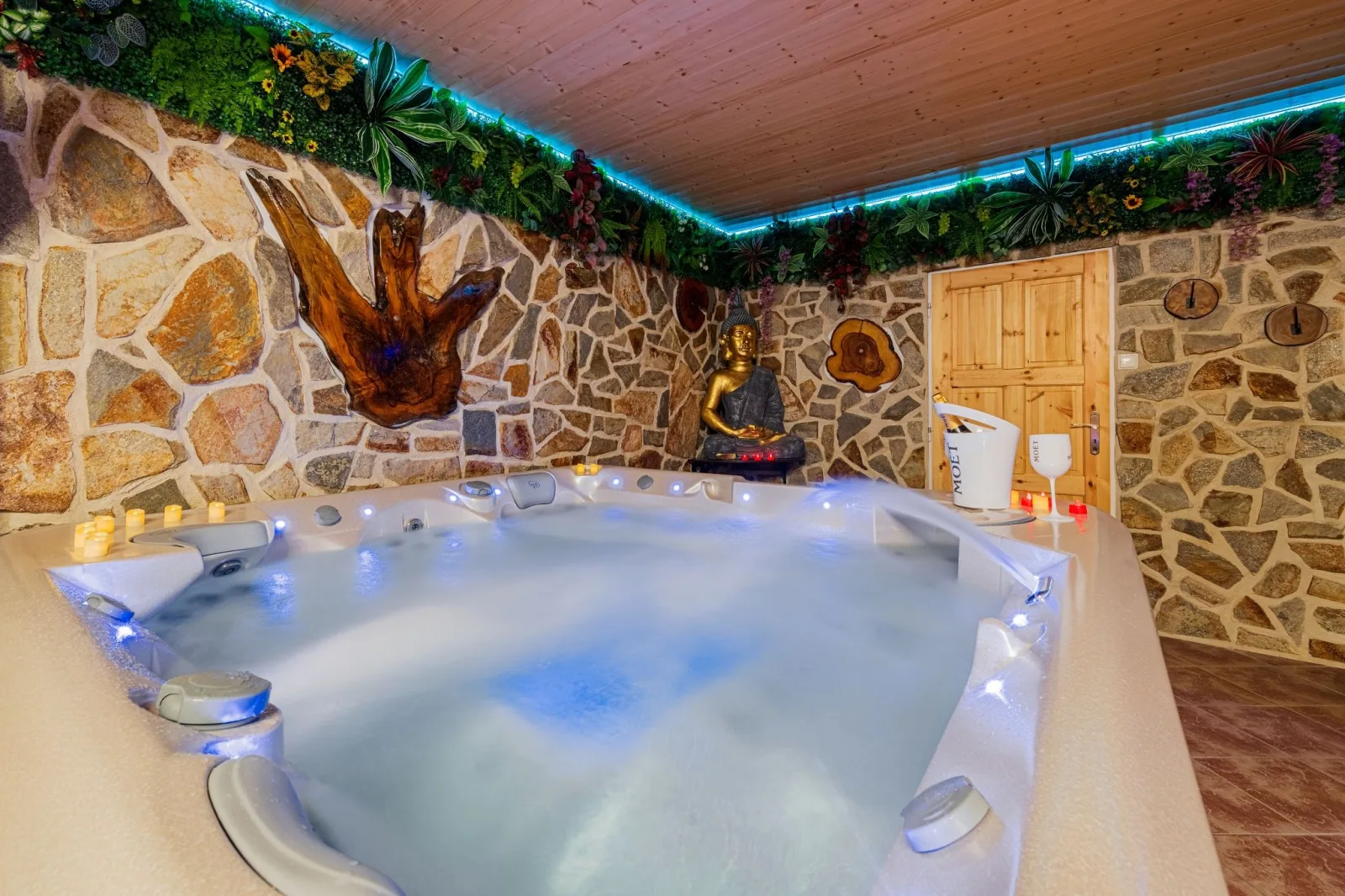 Apartments & Wellness Medusa — APARTMÁN v obci Hamr na Jezeře