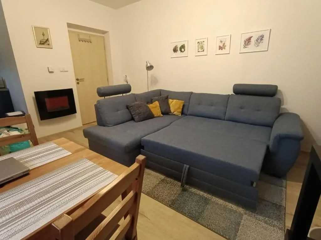 Apartmán Horní Lipová č. 3 — fotografia 5