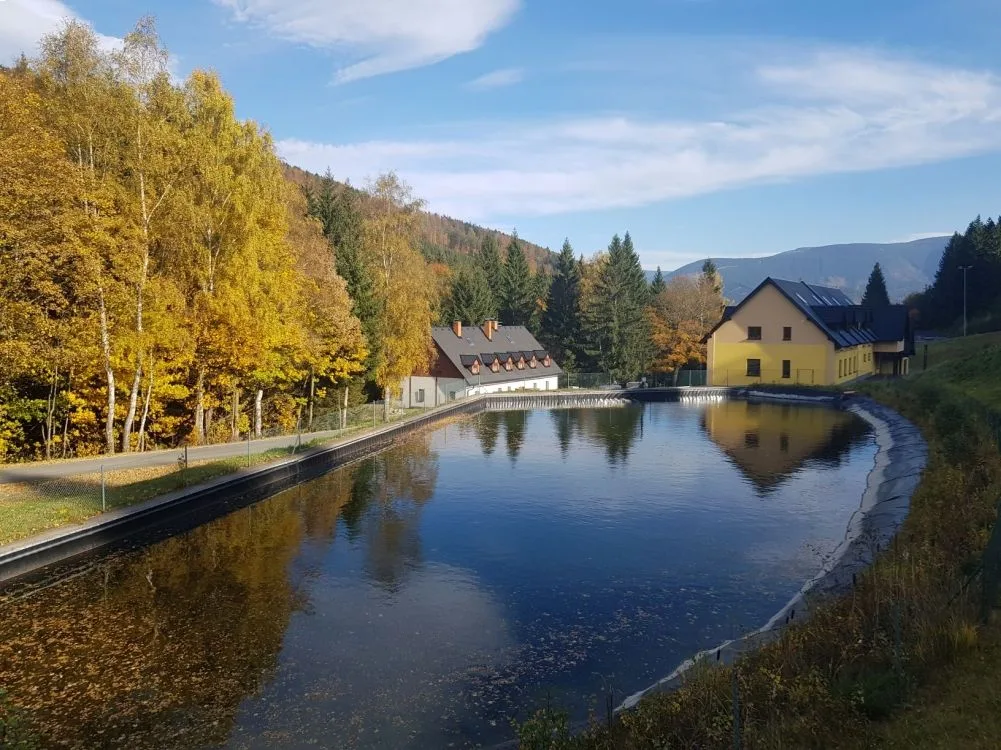 Penzion Přemyslov — PENSJONAT w Loučná nad Desnou
