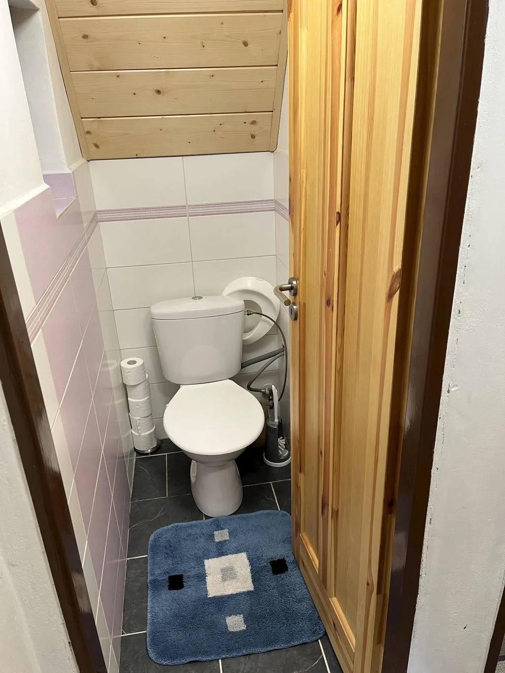 Chata Loučná pod Klínovcem – foto 7