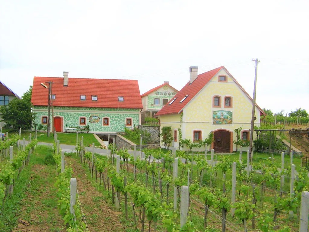 Markovy vinné sklepy — APARTMÁN v obci Olbramovice