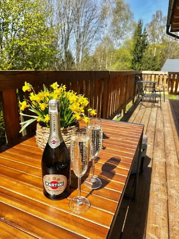Chalet Olešnice – foto 4