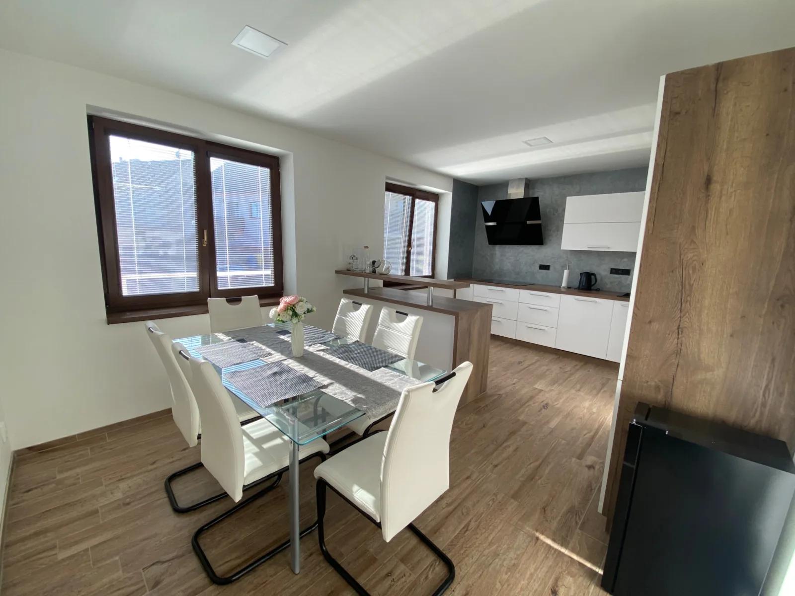 Apartmán pod Pálavskými vrchy