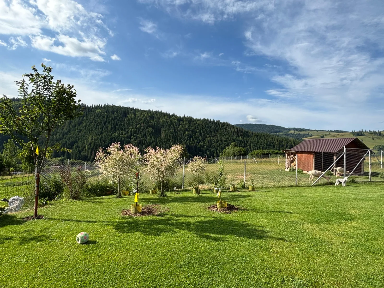 Zelený domček — fotografia 6