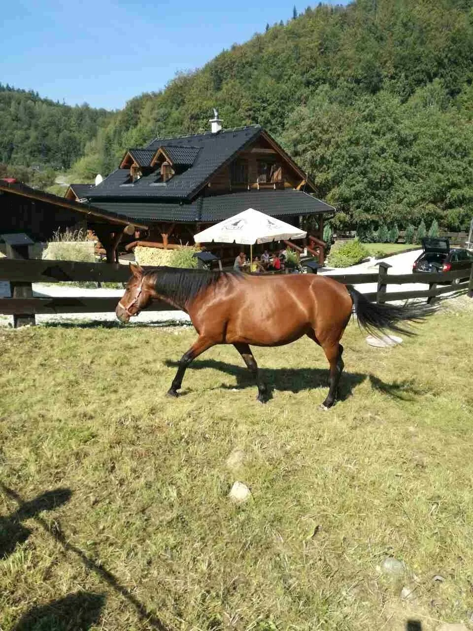 Drevenica Southfork — fotografia 3