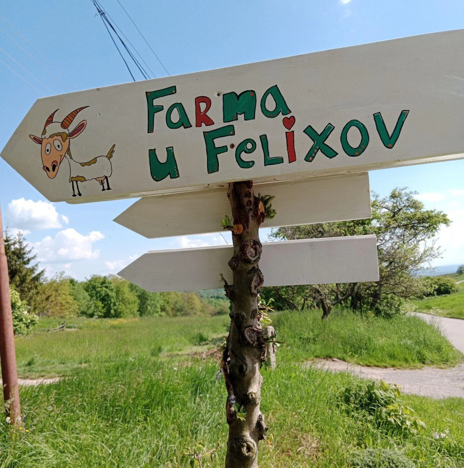 Izbička na Farme u Felixov — fotografia 3