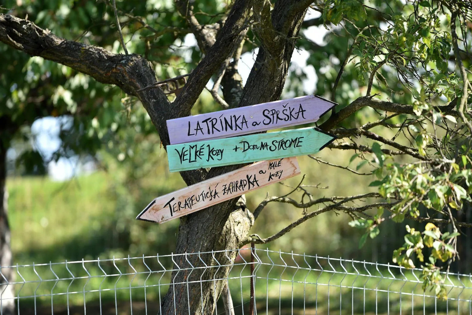 Izbička na Farme u Felixov — fotografia 4