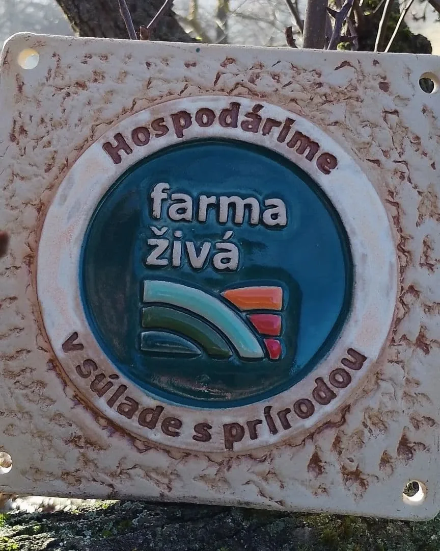 Izbička na Farme u Felixov — fotografia 6