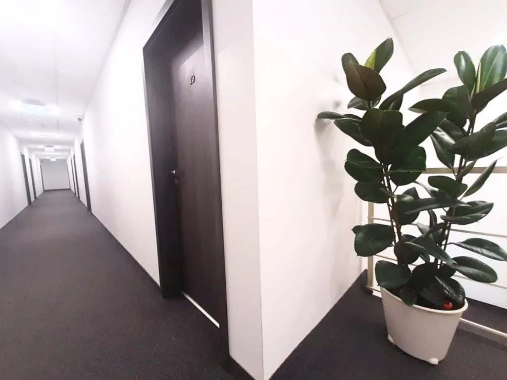 Apartments Dimael — photo 6