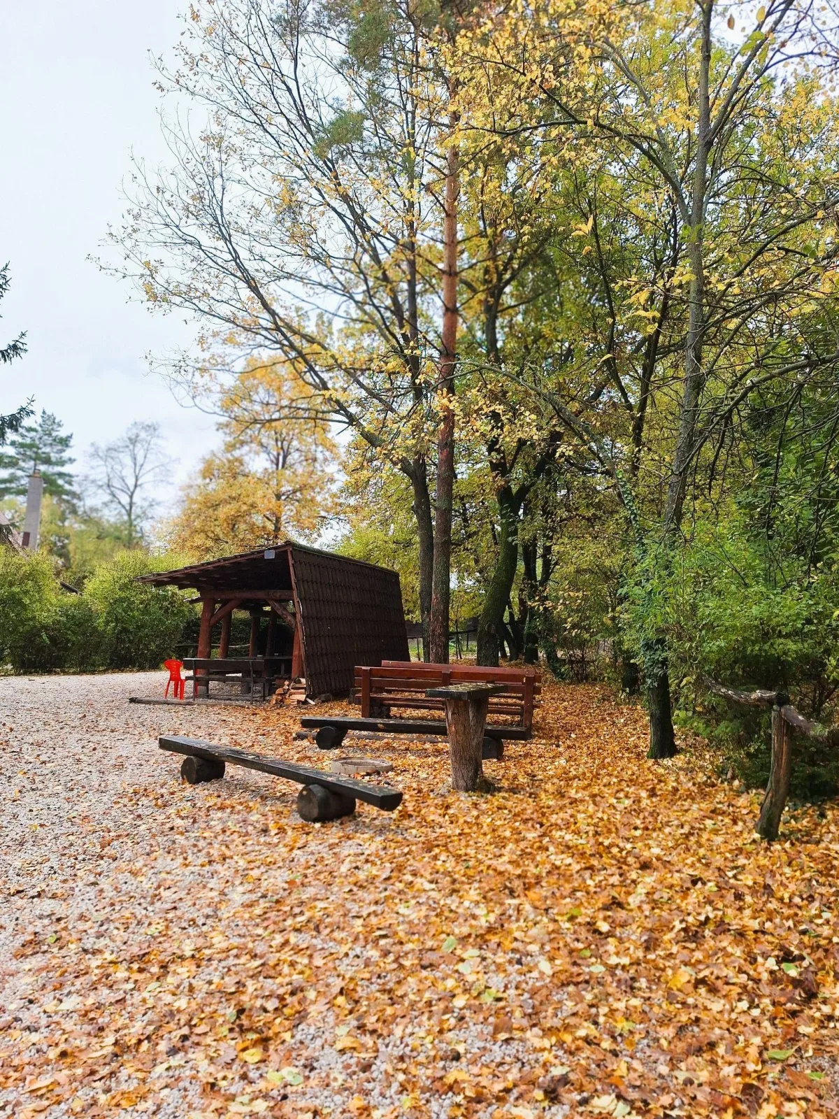 Chata Limba – foto 2