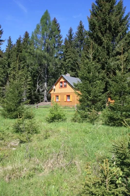 Chata Lesovňa — HÜTTE in Pribylina