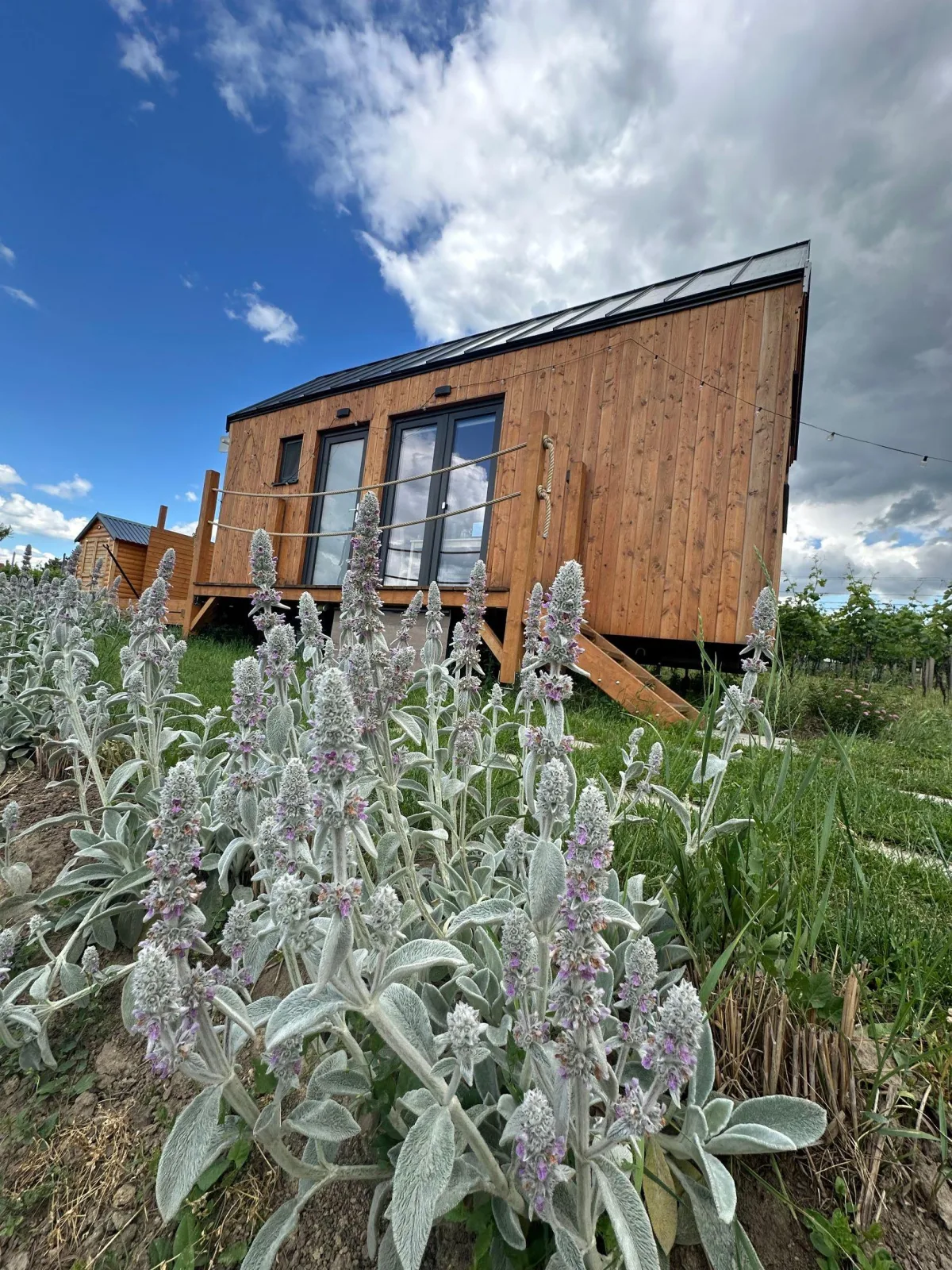 Tiny house Pálava – foto 3