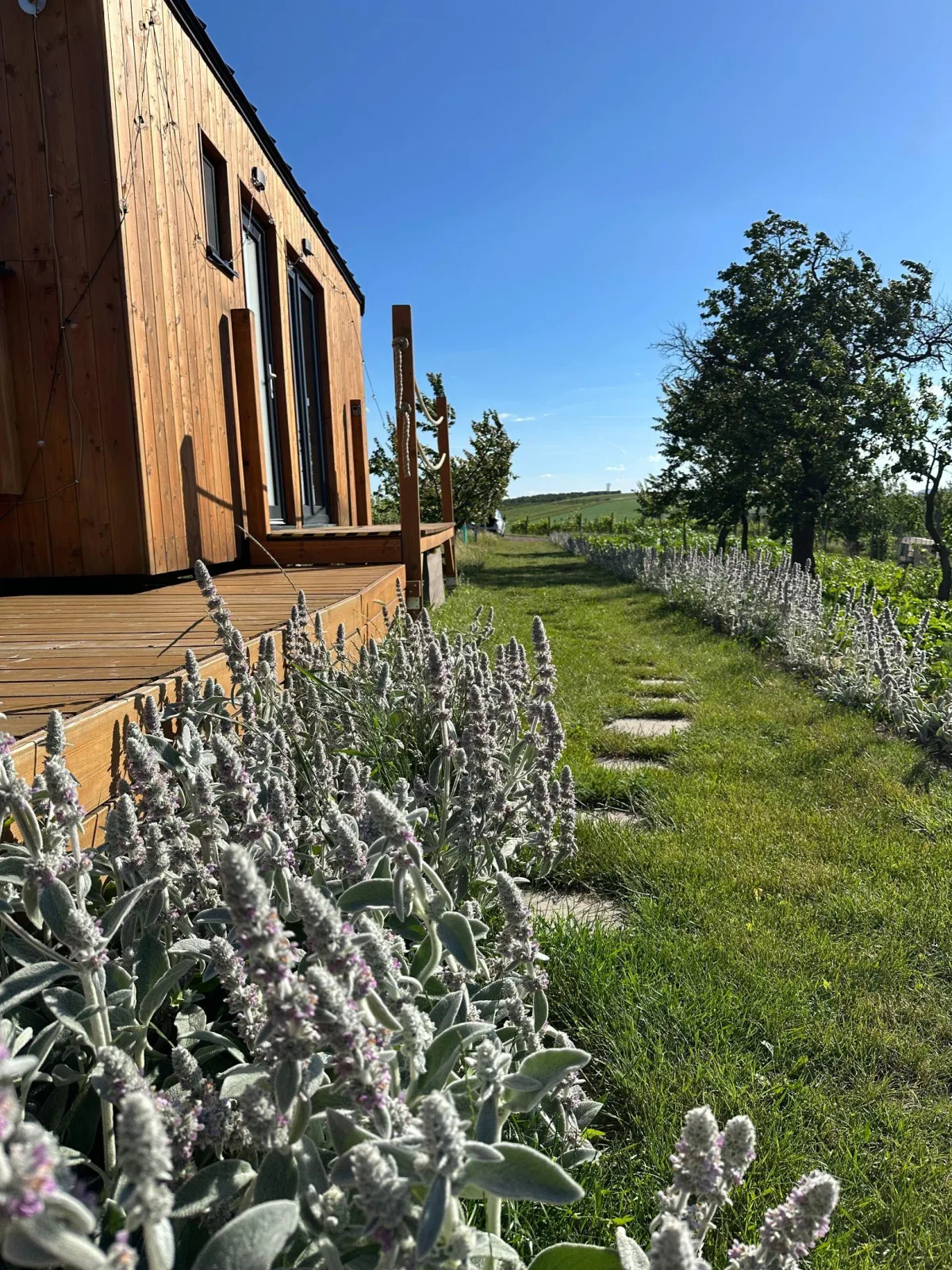 Tiny house Pálava – foto 5