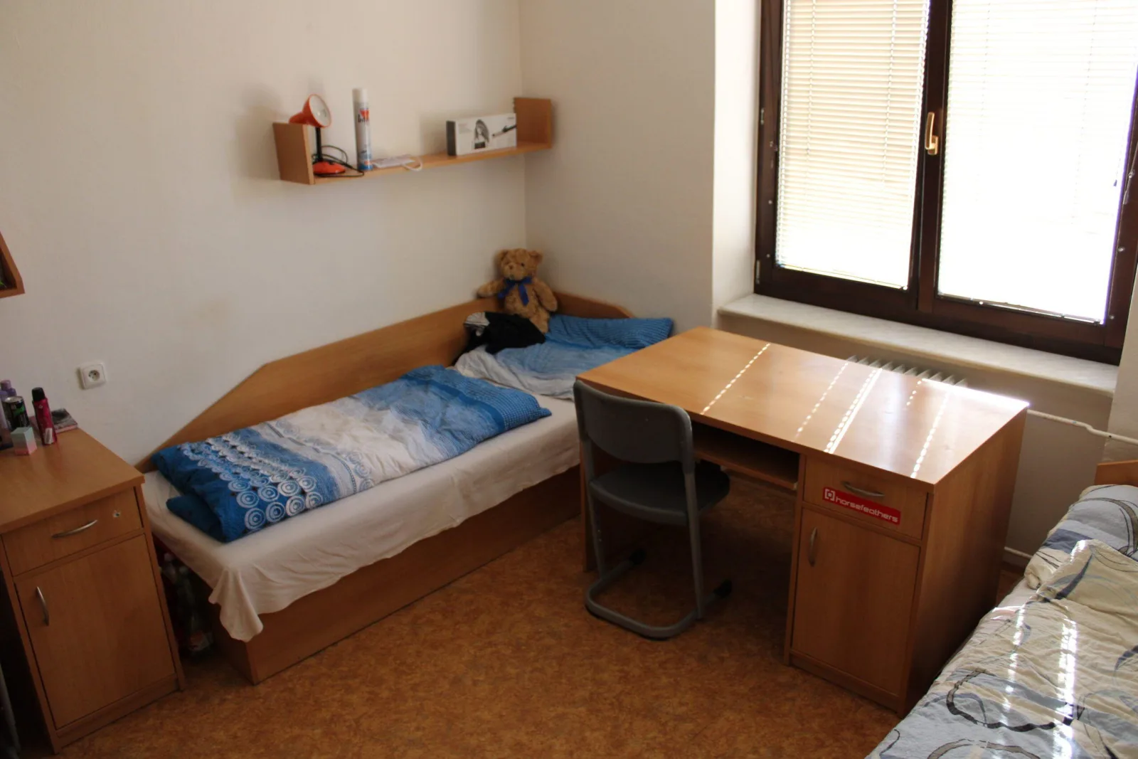 Domov mládeže Břeclav — photo 6