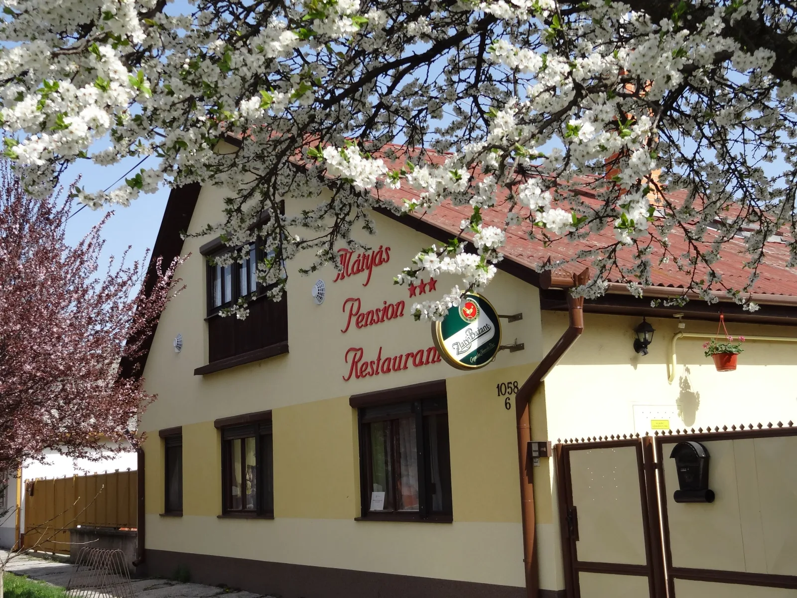 Mátyás pension Restaurant — PANZIÓ itt: Veľký Meder