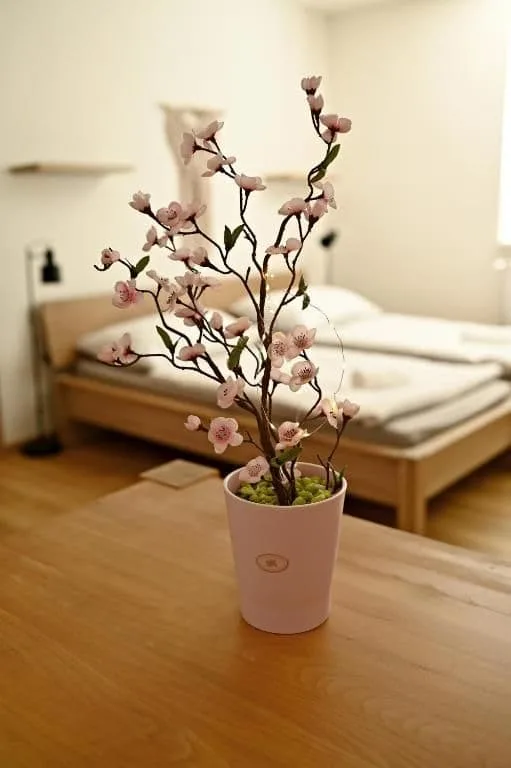 Apartmány Bolevec — fotografie 4