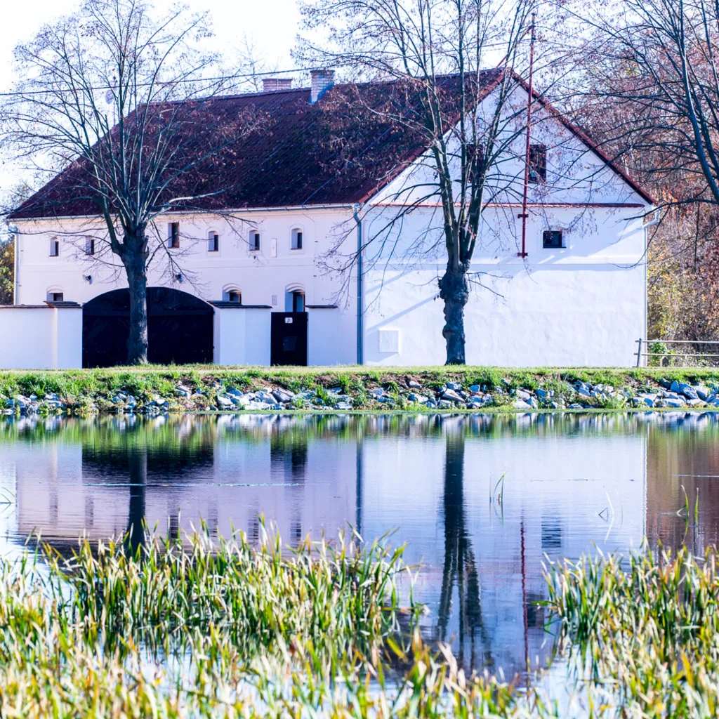 Statek Pňovany — NYARALÓ itt: Pňovany