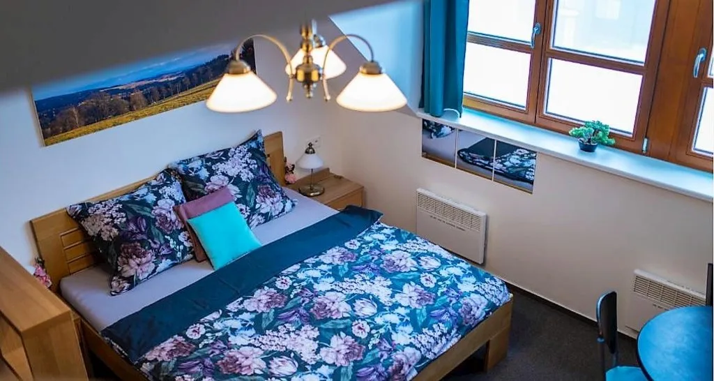 Ski apartmá Říčky — APARTMENT in Říčky v Orlických horách