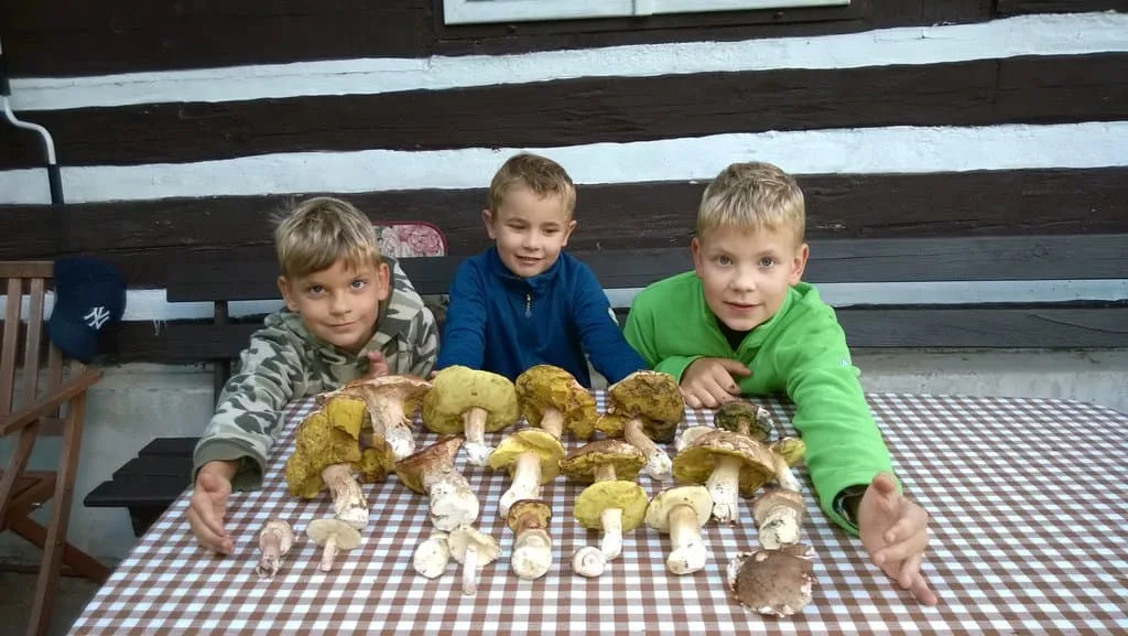 Chalupa u Čížků – foto 6